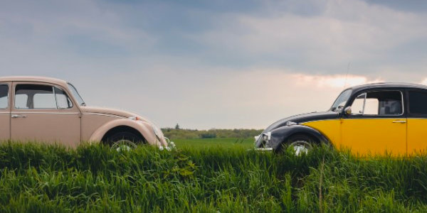 Två äldre bilar på gräsplätt, vända mot varandra